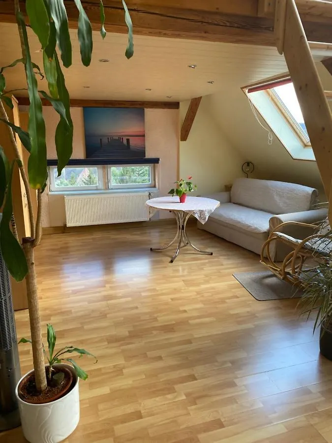 Apartamento Helles Und Charmantes Loft Mit Herrlichem Blick Dresde