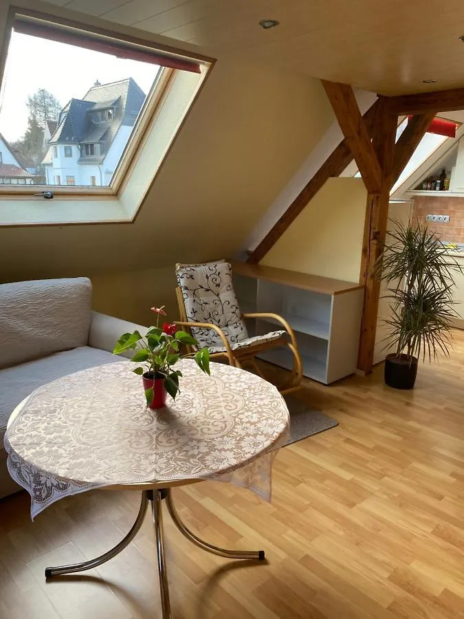 Helles Und Charmantes Loft Mit Herrlichem Blick Dresde