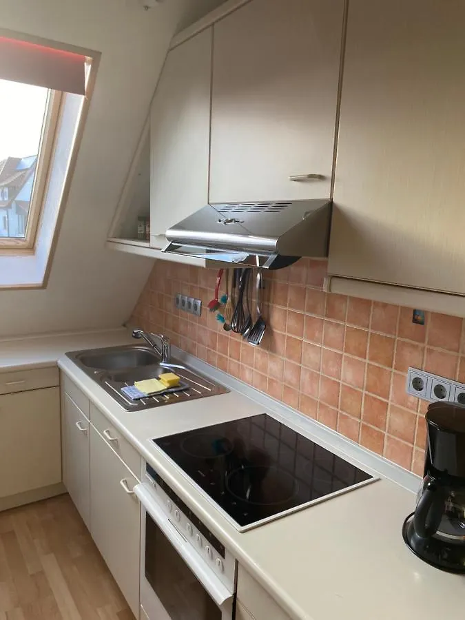 Helles Und Charmantes Loft Mit Herrlichem Blick Dresde 0*,  Alemania