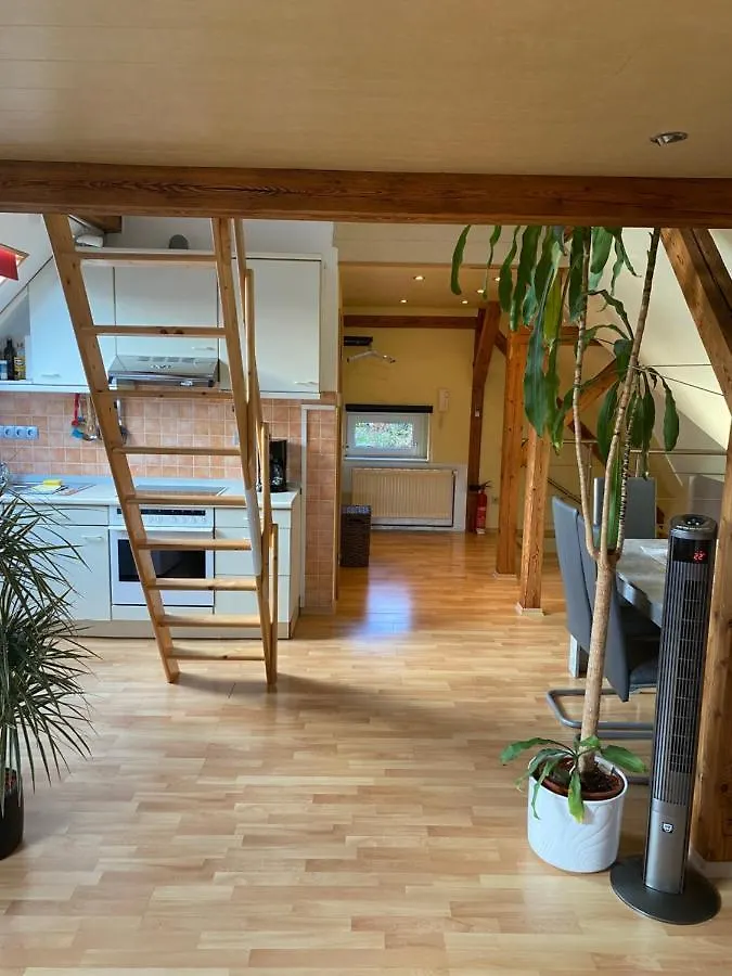 Apartamento Helles Und Charmantes Loft Mit Herrlichem Blick Dresde